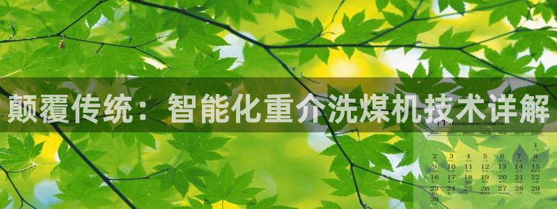 威九国际ppt免费下载：颠覆传统：智能化重介洗煤机技术详解