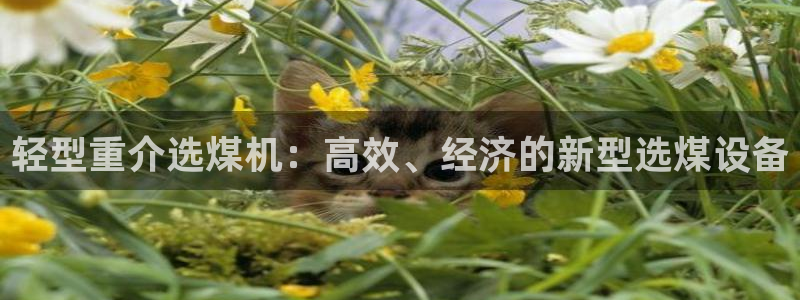 78mapp威九国际媒体