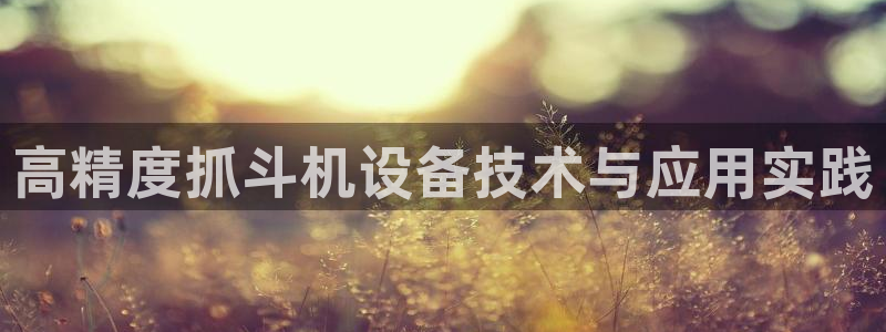 威九国际精选：高精度抓斗机设备技术与应用实践