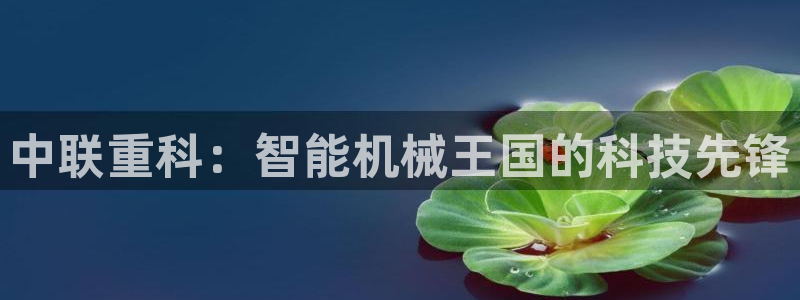 威九国际66m66官网