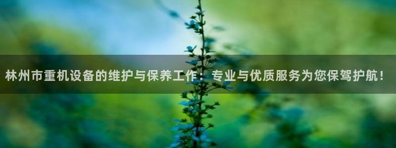 威九国际网站入口地址查询：林州市重机设备的维护与保养工作：专