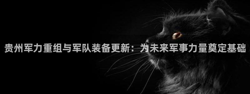 威九国际韩国