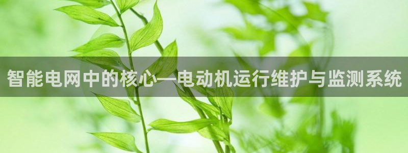 威九国际电视