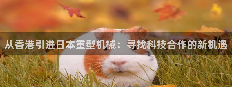 威九国际如何下载