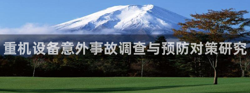 威九国际电子有限公司：重机设备意外事故调查与预防对策研究