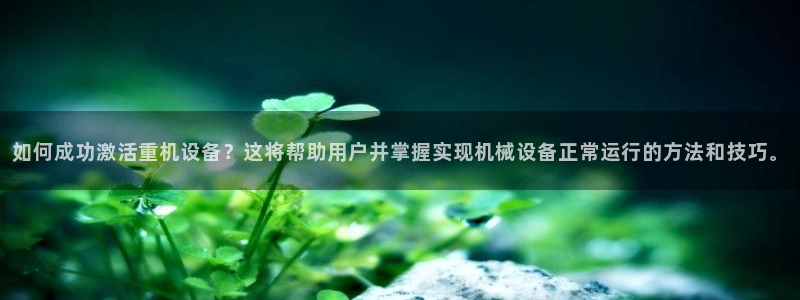 威九国际宣传片