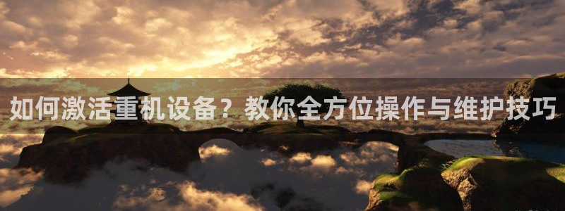 威九国际官方入口官网：如何激活重机设备？教你全方位操作与维护
