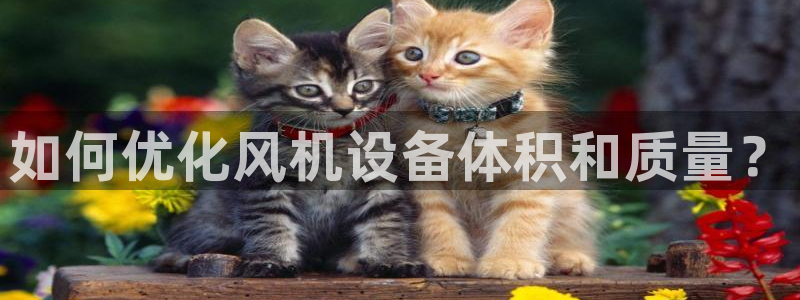 66m威九国际成长模式