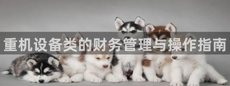 威九国际网站传媒