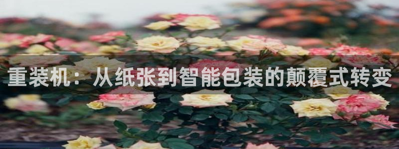 威九国际在线平台怎么样啊